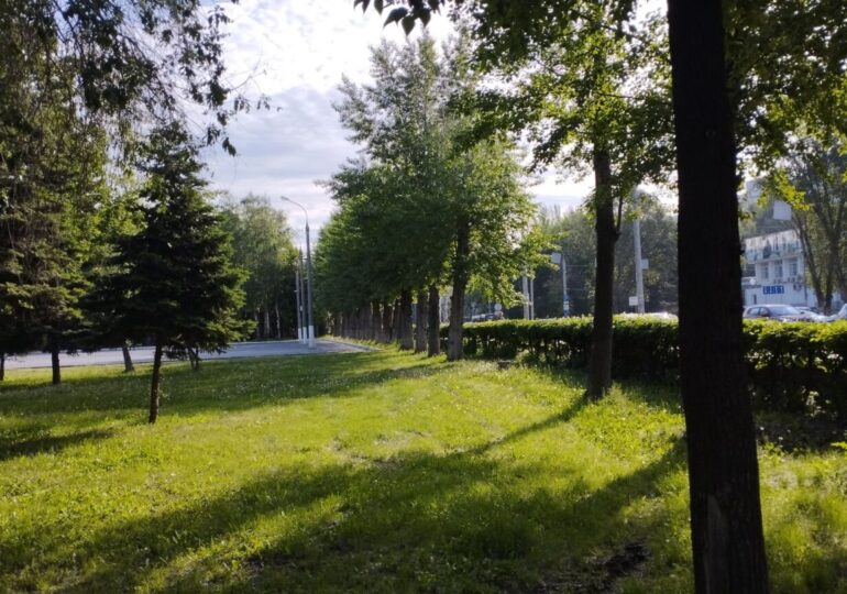 В Самаре покосили траву на площади 697 га