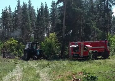 В Рачейском лесничестве потушили пожар