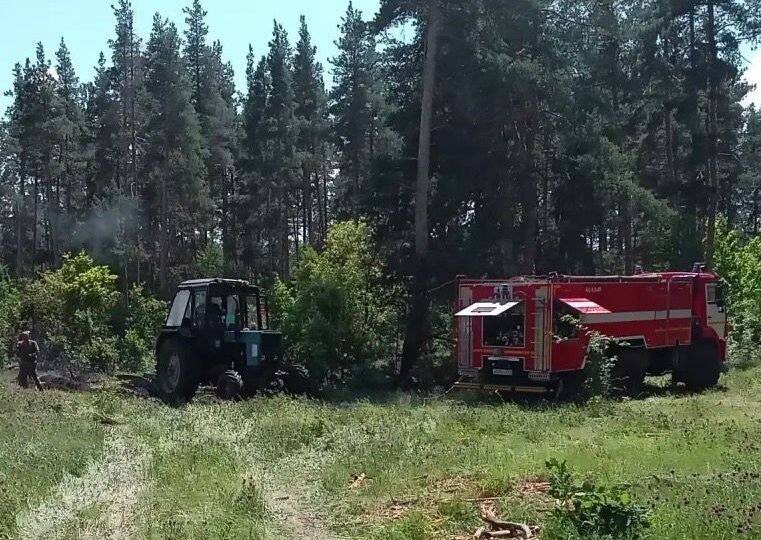 В Рачейском лесничестве потушили пожар