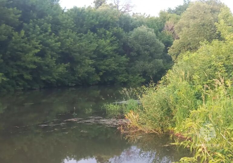 В Самарской области утонули три ребенка