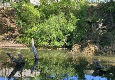 В Самаре сквер «Леснуха» привели в порядок