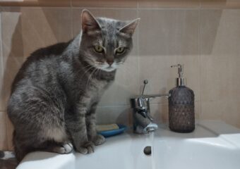 В Самаре 9 июня возможны временные отключения холодной воды