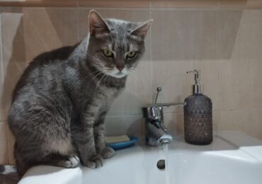 В Самаре 9 июня возможны временные отключения холодной воды