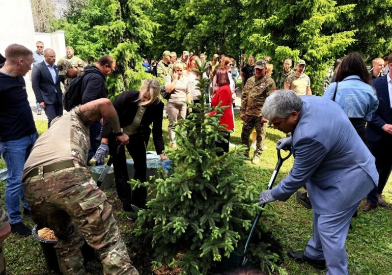 В Самаре высадили аллею памяти погибших участников СВО
