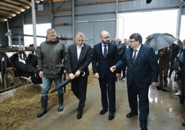 В Самарской области усилят молочное животноводство