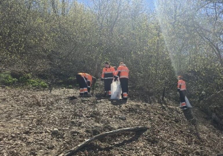 В Самарской области волонтеры собрали с берегов 350 куб. м мусора
