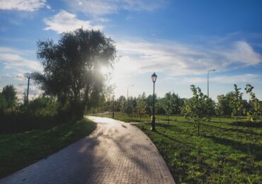 В Самаре покосили траву на площади 1013 га