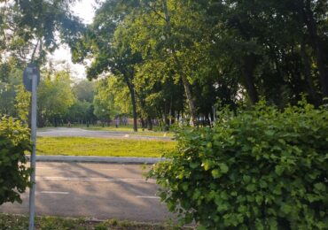 В Самаре покосили траву на площади 876 га