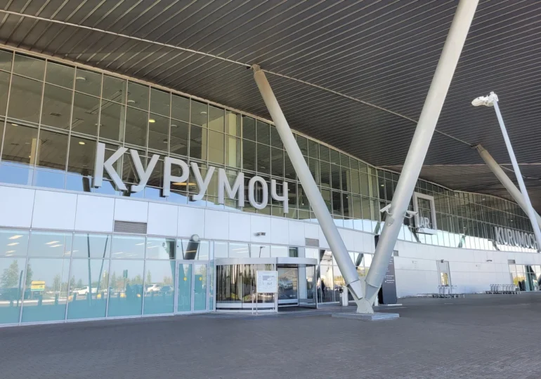 В аэропорту Курумоч задержали около 200 партий растительной продукции