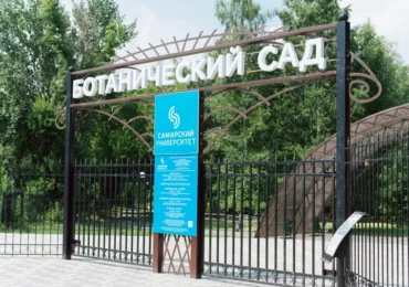 В Самаре с 21 июля по 3 августа закроют Ботанический сад