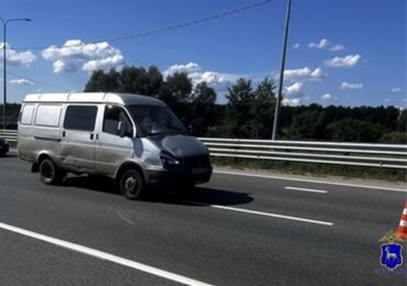 В Кинельском районе погиб пешеход