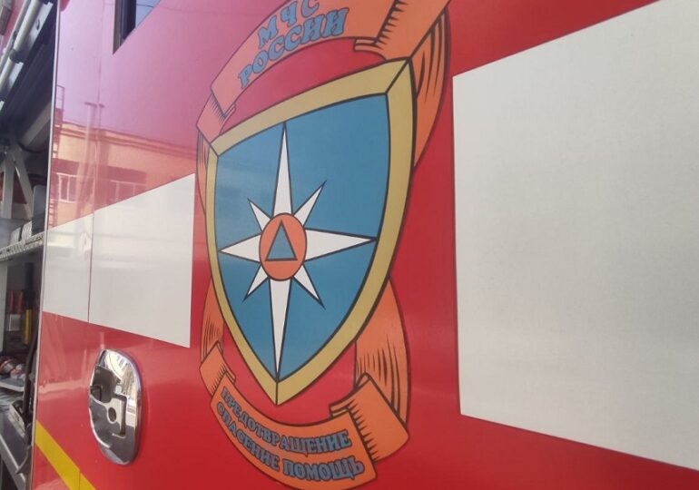 В Самарской области в пожаре погибла женщина