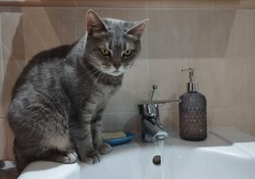 В Самаре 4 июля могут временно отключить холодную воду