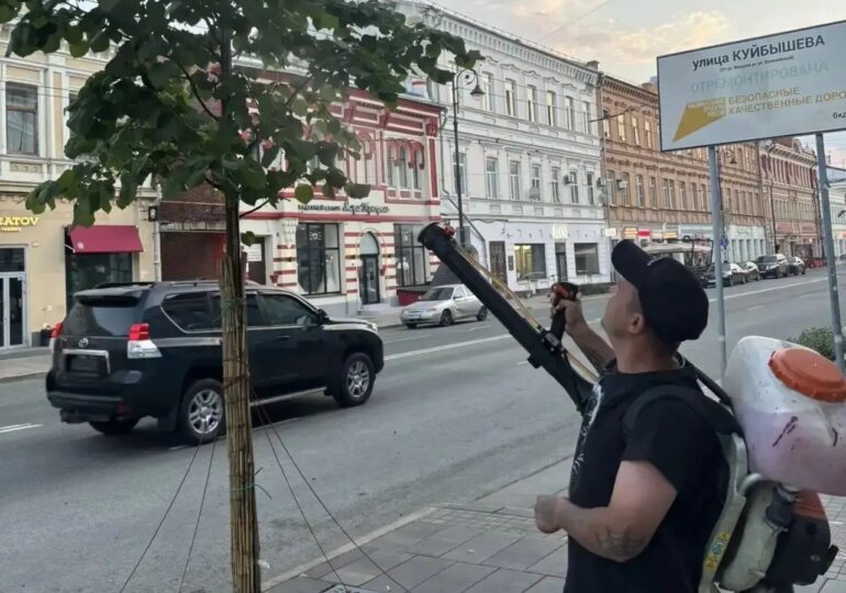 В Самаре обрабатывают липы от паутинного клеща