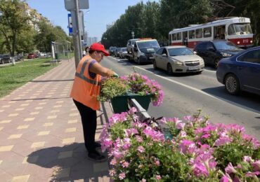 В Самаре городские службы ежедневно ухаживают за газонами и цветами
