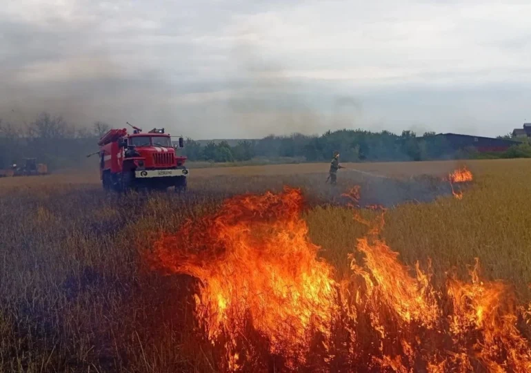 В Самарской области горело ячменное поле