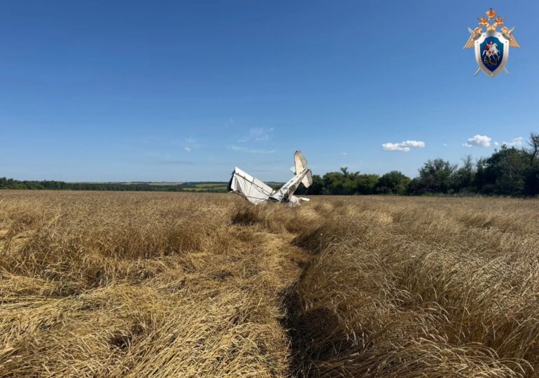 В Самарской области возбудили уголовное дело по факту падения самолета АН-2