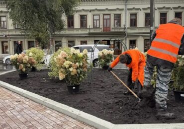 На площади Революции в Самаре создают цветочные клумбы