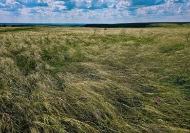 В Самарской области обследуют новые памятники природы