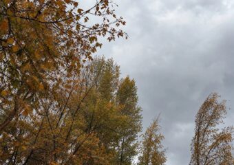 В Самарской области прогнозируют сильный ветер