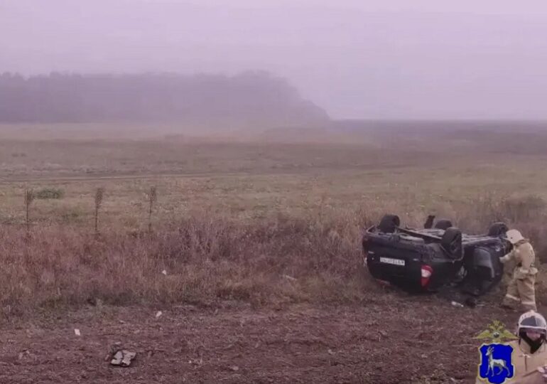 В Самарской области погиб водитель легковушки