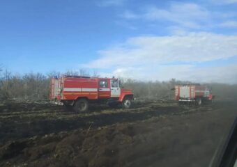 В Большеглушицком районе ликвидировали лесной пожар