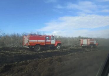 В Большеглушицком районе ликвидировали лесной пожар