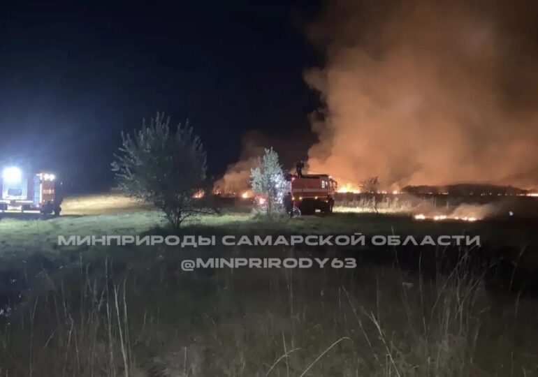 В Безенчукском лесничестве произошел пожар