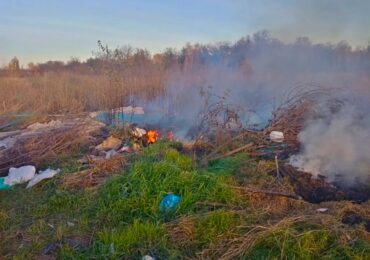 В Самарской области потушили пожар в поле